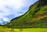 足球比分 即时比分-足球比分即时播报，绿茵场上的心跳加速器